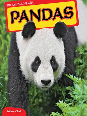 Pandas - ebook